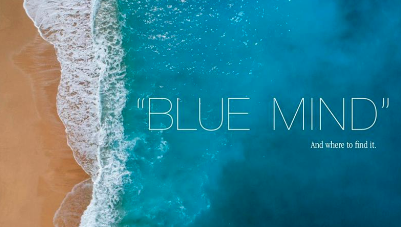 Blue Mind Wellness: A Mantra for Land, Air and Sea